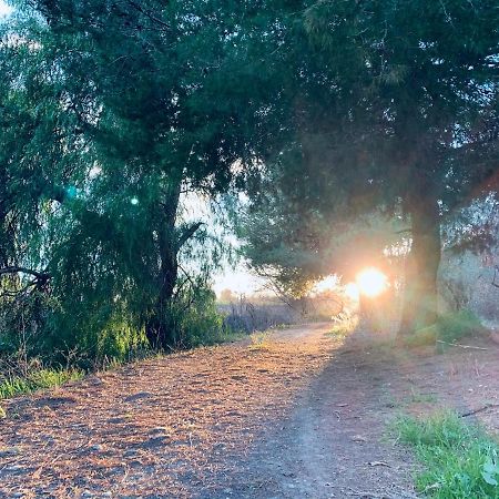 Monte Rosado Viviendas Vacacionales La Peza Buitenkant foto