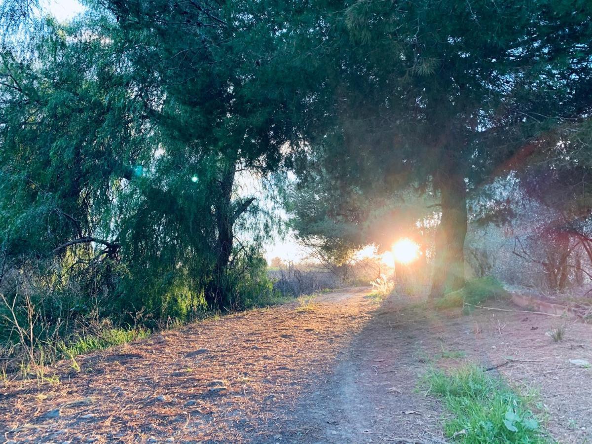 Monte Rosado Viviendas Vacacionales La Peza Buitenkant foto